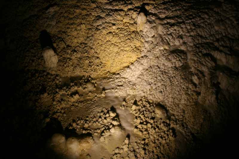 Nieuw-Zeeland 2011 - 0540